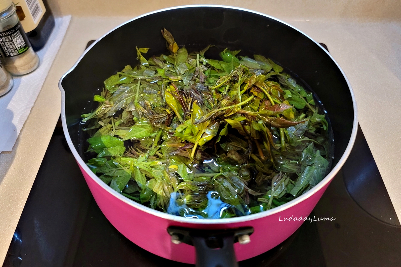 【食譜】香椿芽拌豆腐│春天當季的鮮香美食