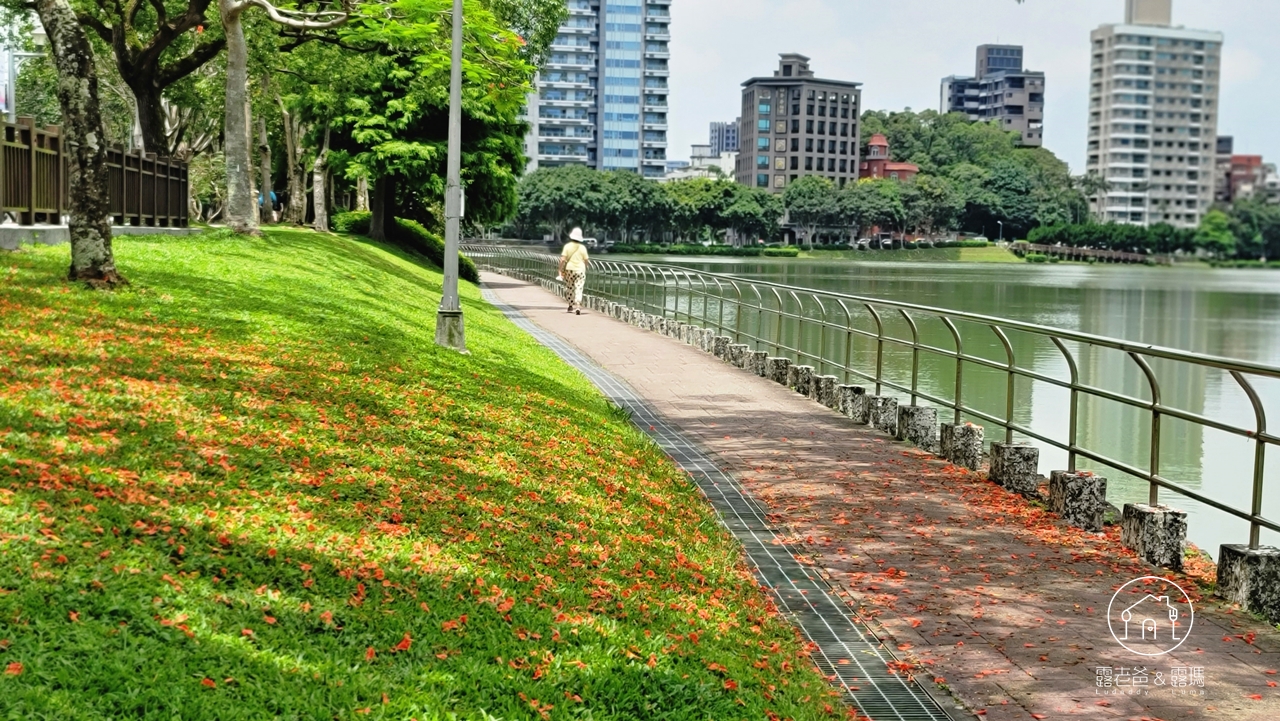 台北內湖象園咖啡│新健康飲食與湖景饗宴的完美結合，2024最新菜單，超萌壽星生日優惠禮