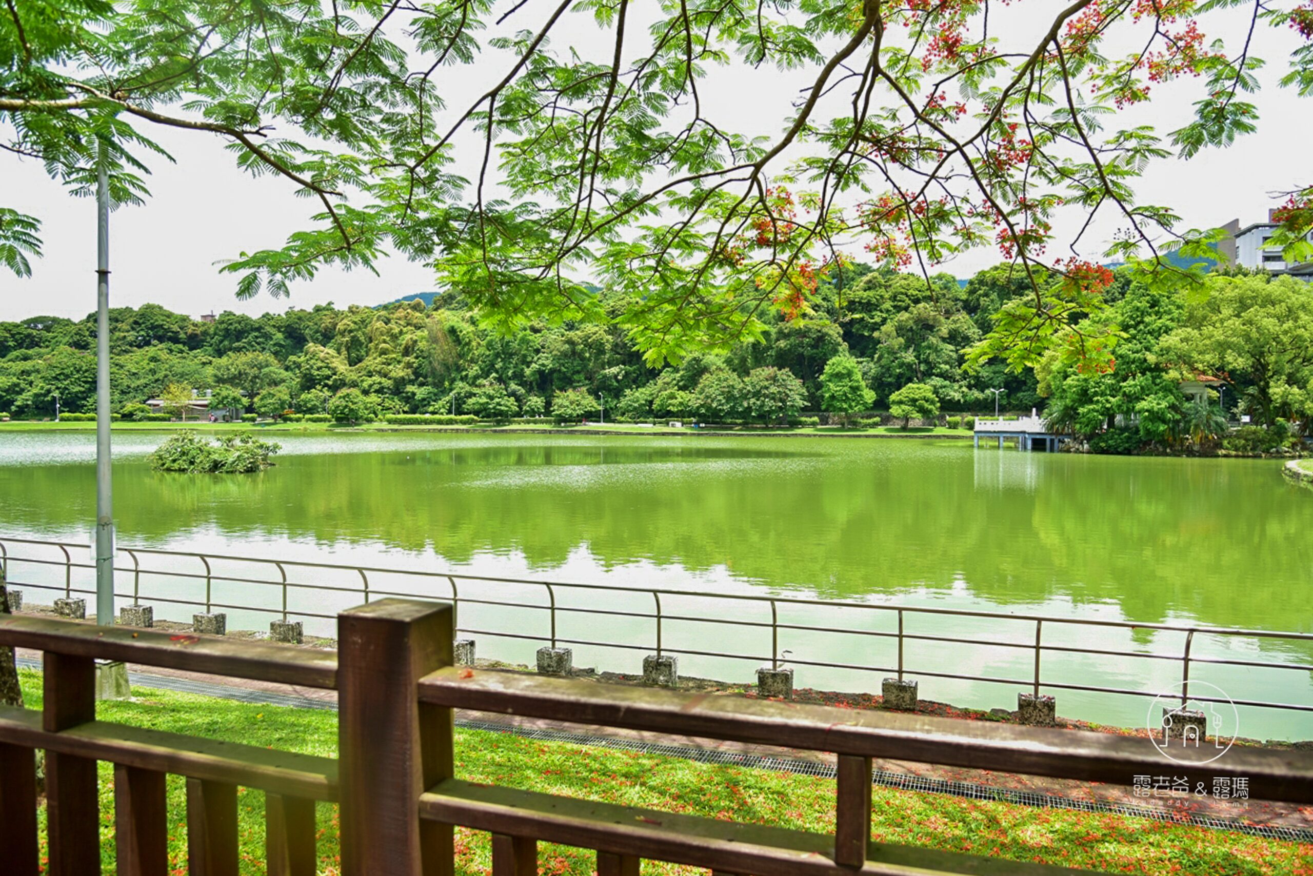 台北內湖象園咖啡│新健康飲食與湖景饗宴的完美結合，2024最新菜單，超萌壽星生日優惠禮