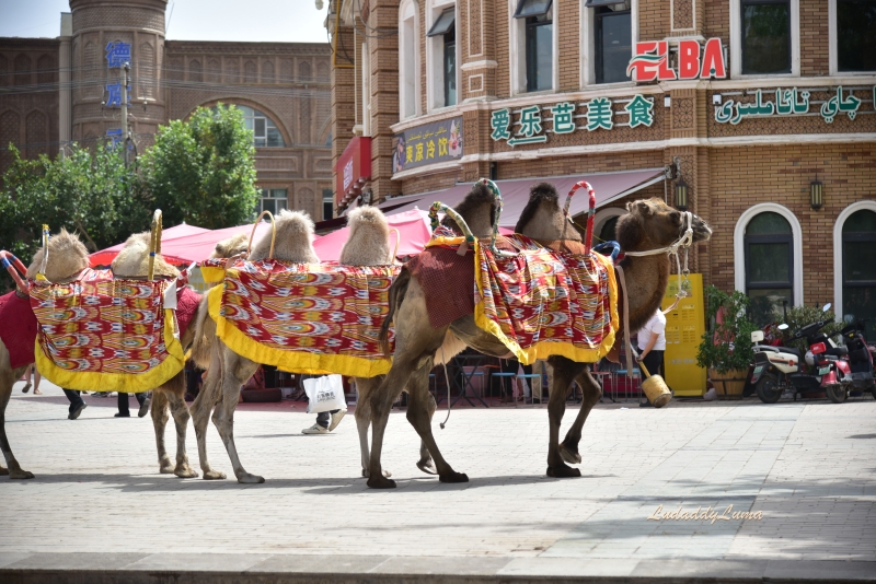 大陸新疆旅遊｜南疆自由行，喀什自駕6日行程攻略