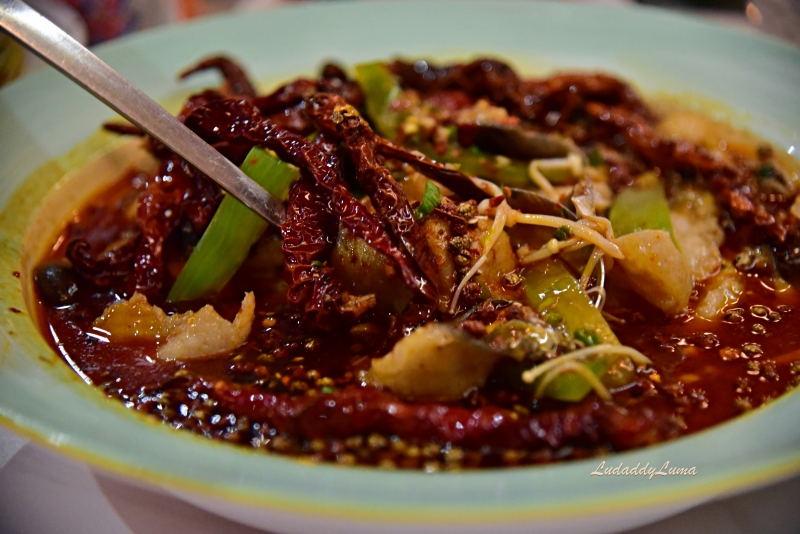 大陸旅遊｜唐貓酒肆千年陝菜，西安旅遊美食餐廳推薦