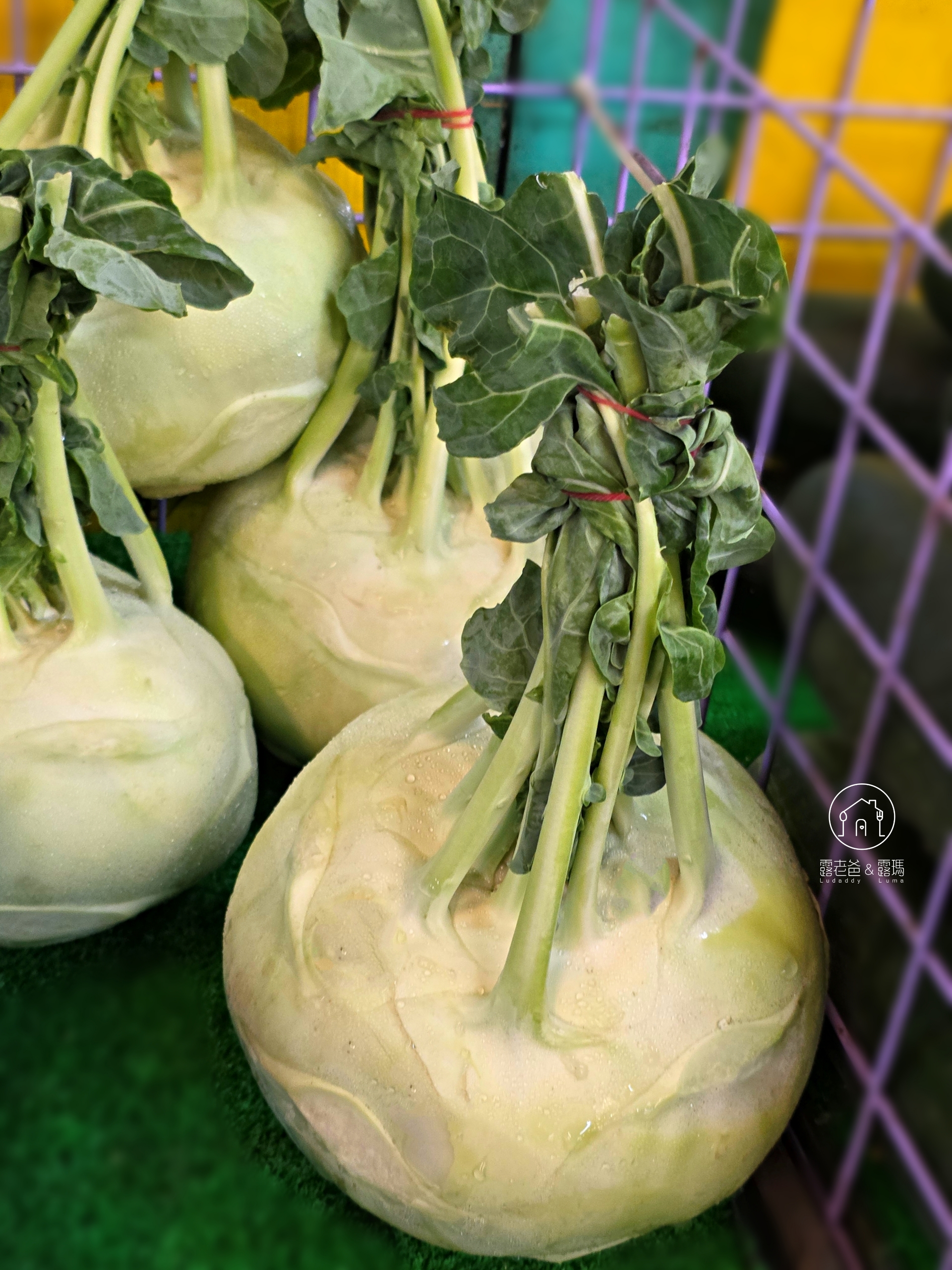 涼拌大頭菜食譜｜爽脆清口的簡單涼拌大頭菜料理