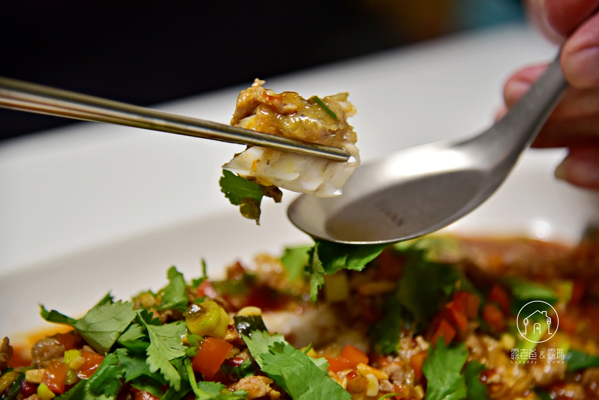 【食譜】川味豆瓣魚|簡易家常做法,過年過節宴客的魚料理推薦 【食譜】川味豆瓣魚|簡易家常做法,過年過節宴客的魚料理推薦