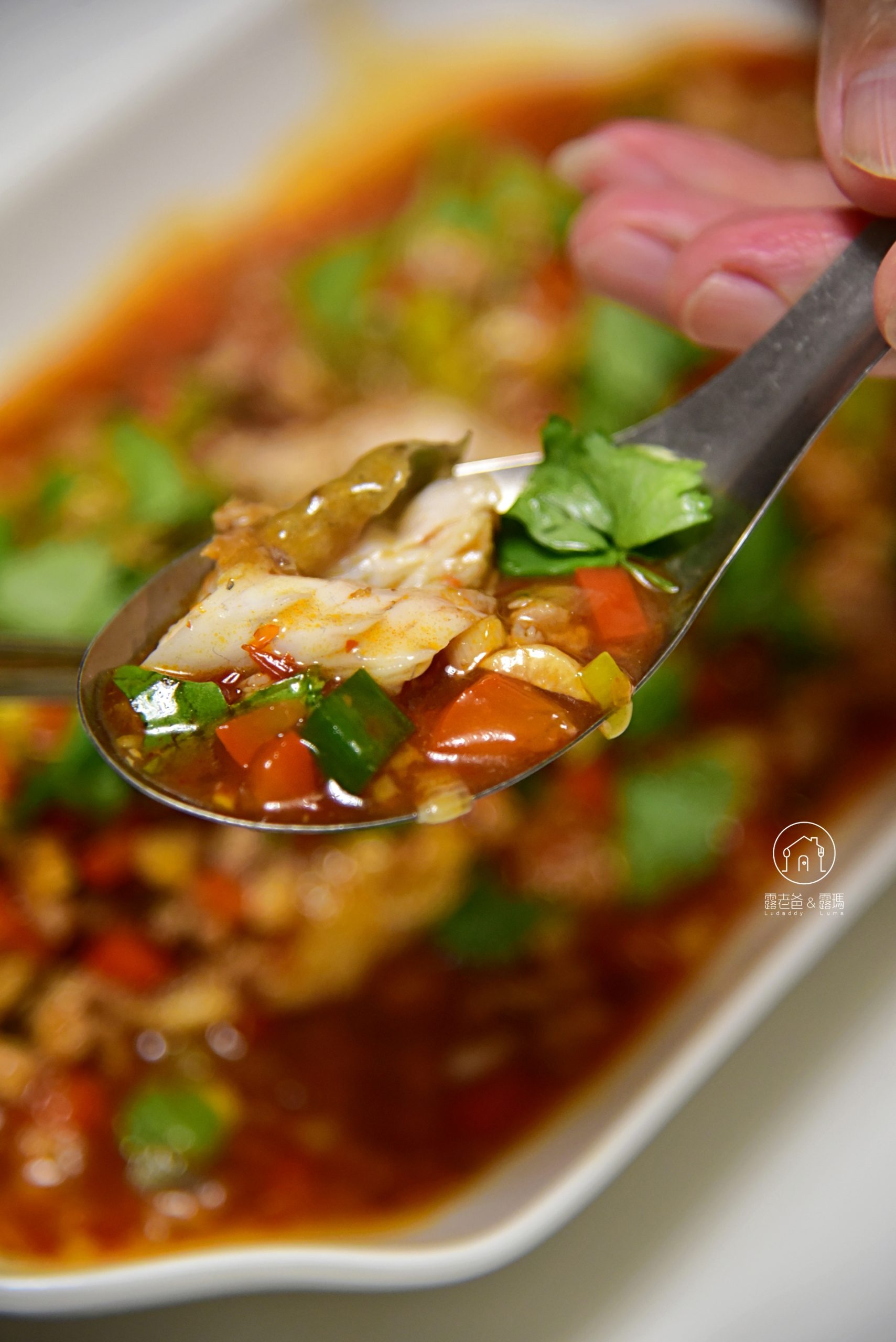 【食譜】川味豆瓣魚|簡易家常做法,過年過節宴客的魚料理推薦 【食譜】川味豆瓣魚|簡易家常做法,過年過節宴客的魚料理推薦