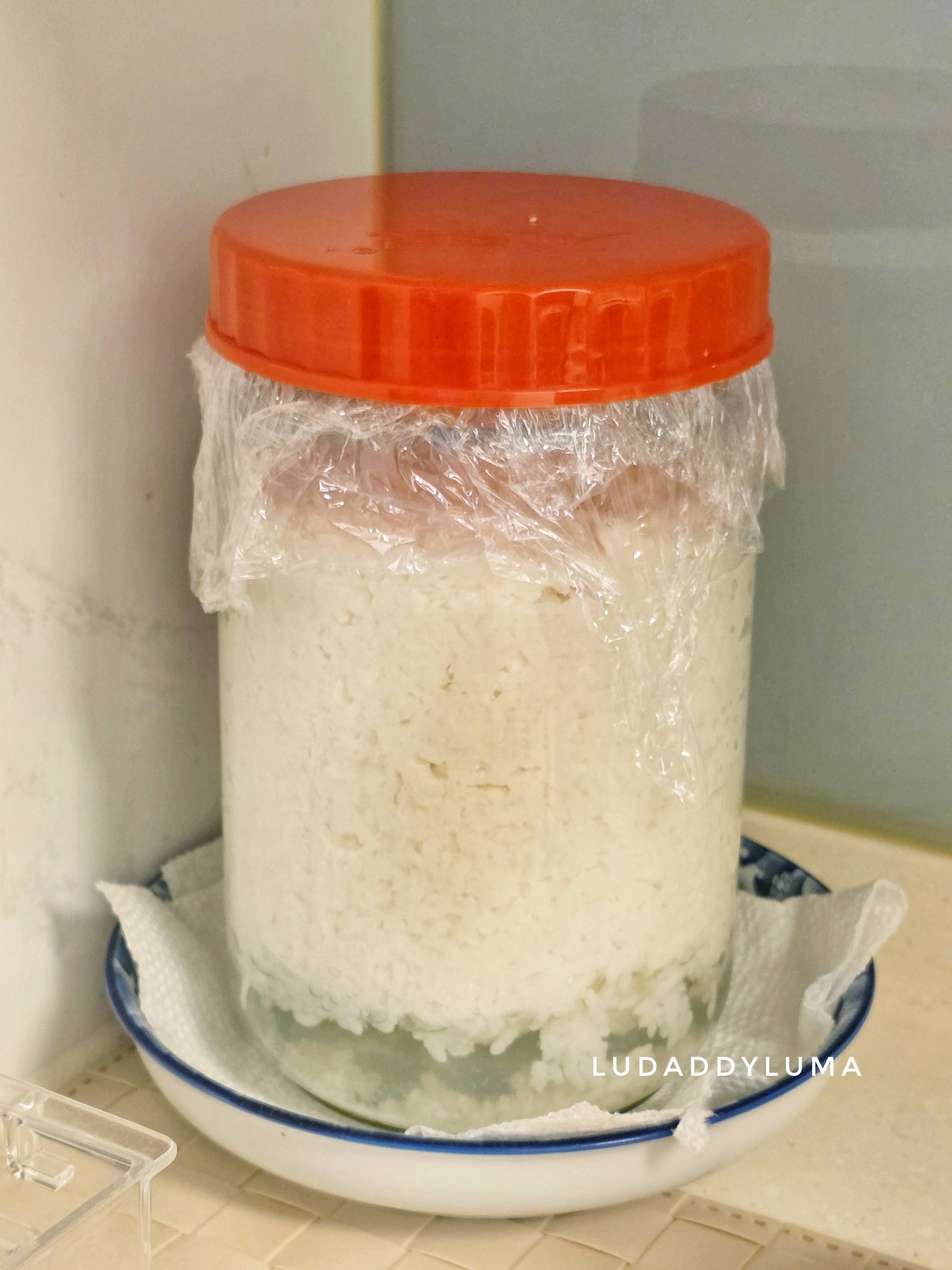 【食譜】甜酒釀做法|零失敗自製酒釀比例、發酵溫度與保存一次搞懂 【食譜】甜酒釀做法|零失敗自製酒釀比例、發酵溫度與保存一次搞懂