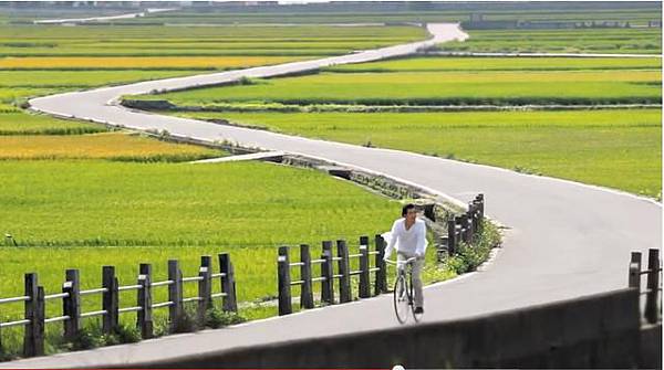 【一個讓你心裡想念的地方】- 台東池上伯朗大道‧ 天堂路 @露老爸&amp;露瑪